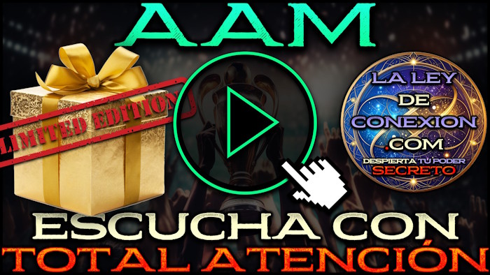 Carátula del video 13 del programa 10 Principios Secretos por Rodrigo Sánchez de Laleydeconexion.com